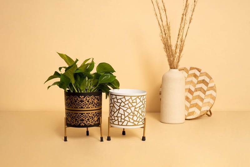 Lechuza Self-Watering Planter